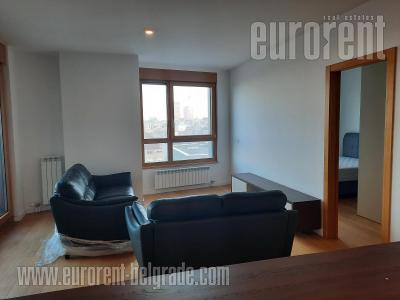 Apartment SAVSKI VENAC